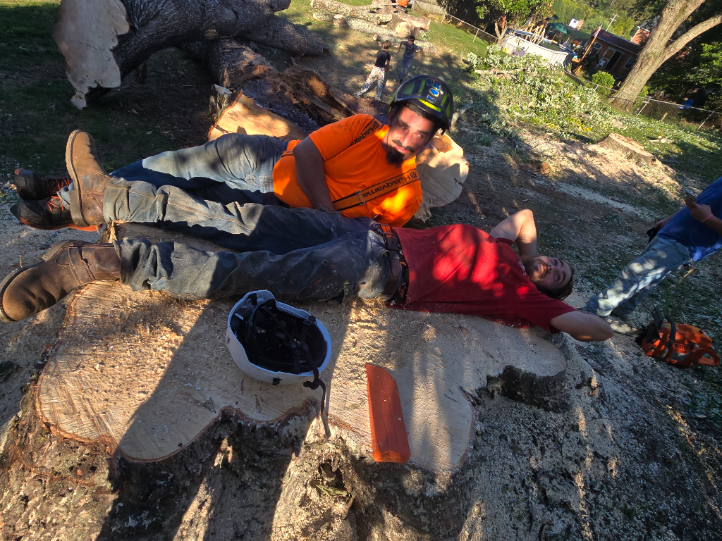 Tree service professionals working together outdoors